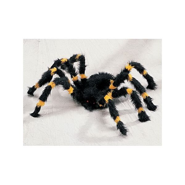 y}\Ń|Cgő46{zi܂Ƃ߁jSUNSTAR Orange^Black Spider-SiXpC_[jy~2_Zbgzysz