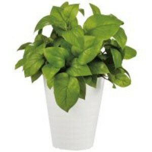 【クーポン配布中】東北花材 人工樹木 ライムポトス 90239