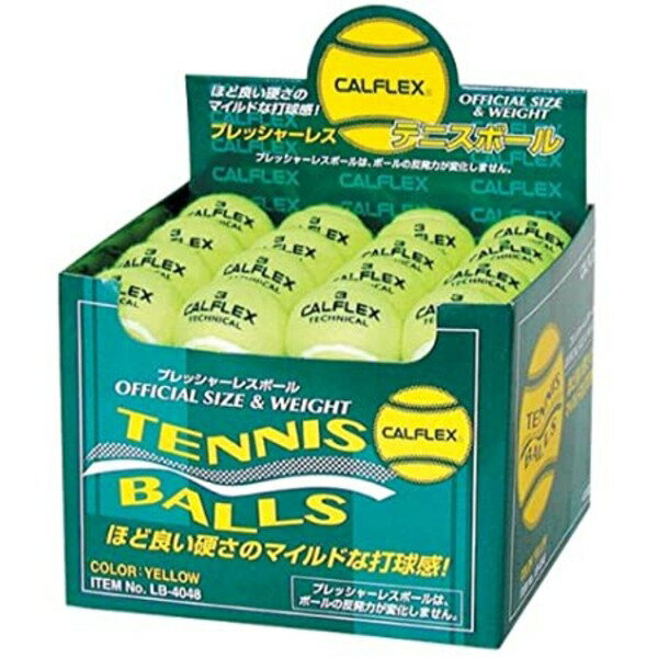 【ポイント20倍】テニスボール ノンプレッシャー硬式テニスボール 48球【代引不可】