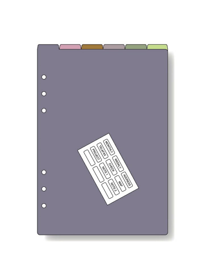 【ブラックフライデーでP最大47倍】(まとめ）レイメイ藤井 ダヴィンチ リフィル (A5) カラーインデックス 6区分 DAR4602 【×20セット】