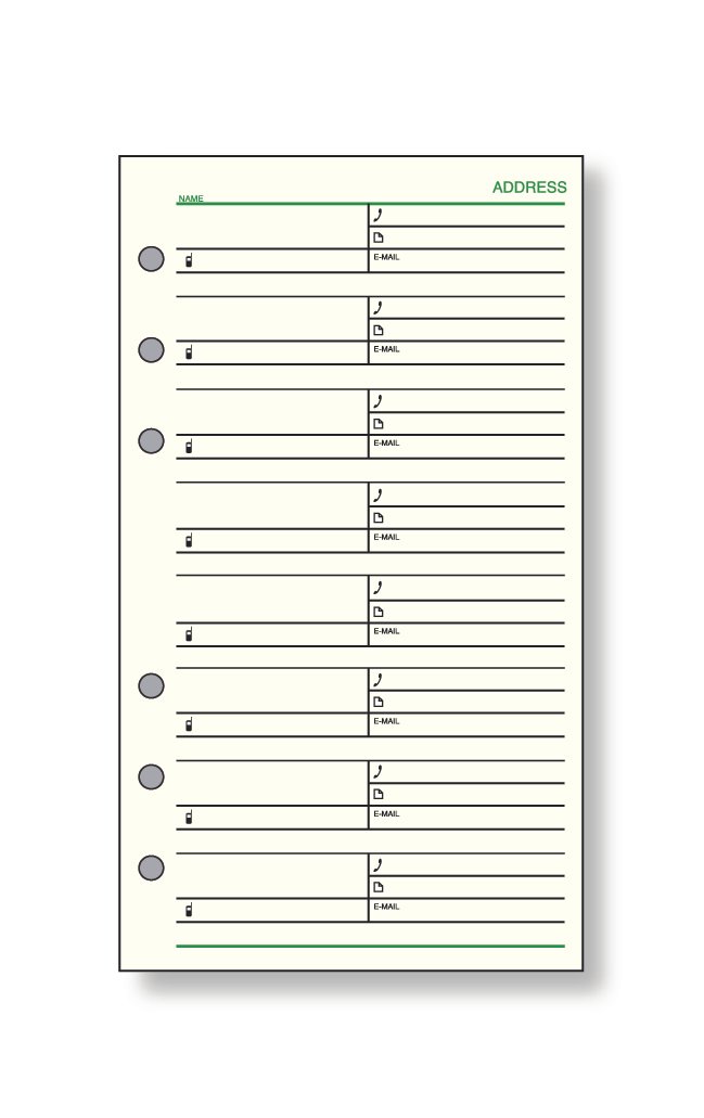 【ポイント20倍】(まとめ）レイメイ藤井 ダヴィンチ リフィル (聖書) アドレス 1ページ8名 DR306 【×20セット】