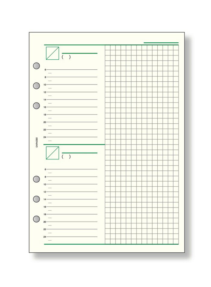 【マラソンでポイント最大46倍】(まとめ）レイメイ藤井 ダヴィンチ リフィル (A5) フリー2デイズスケジュール DAR4280 【×30セット】