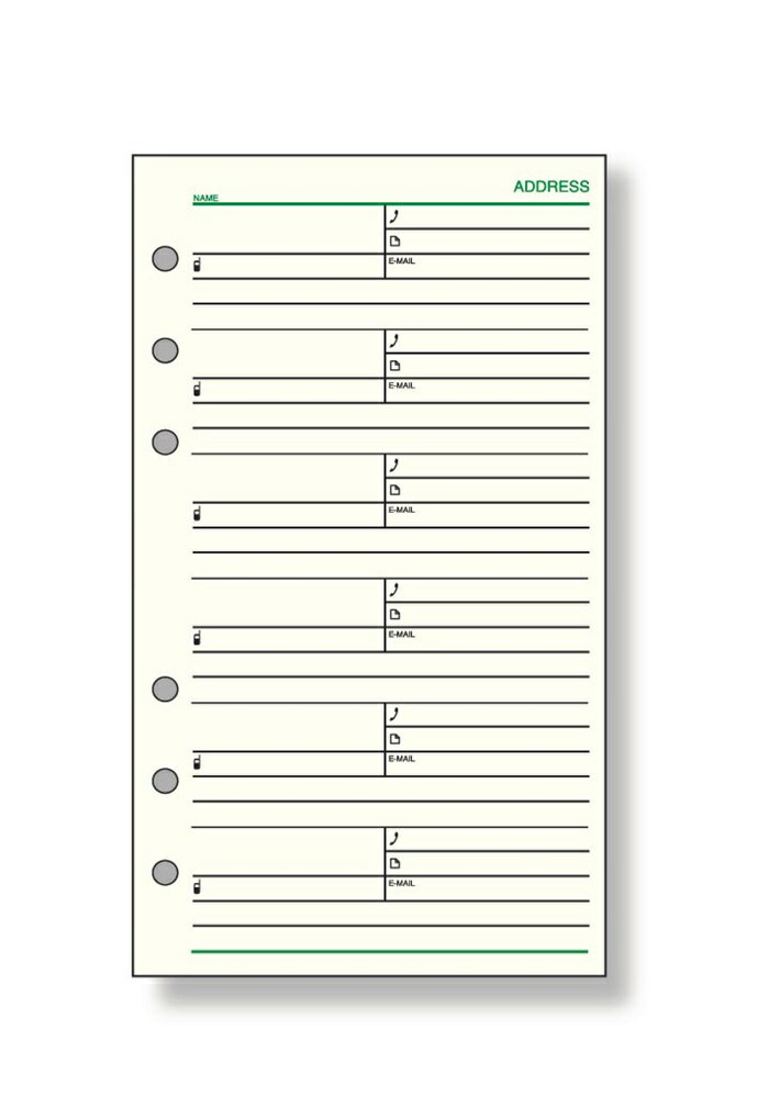 【ポイント20倍】(まとめ）レイメイ藤井 ダヴィンチ リフィル (聖書) アドレス 1ページ6名 DR308 【×20セット】