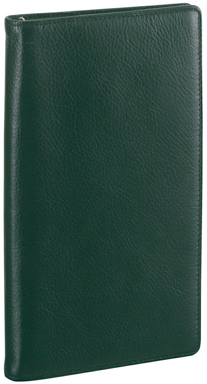 【ポイント20倍】レイメイ藤井 ダヴィンチ システム手帳 スタンダード (スリム聖書) 8mm グリーン JDB3007M