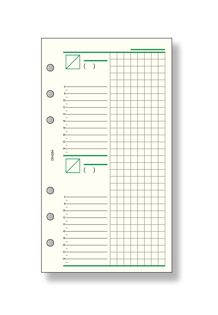 【クーポン配布中】(まとめ）レイメイ藤井 ダヴィンチ リフィル (聖書) フリー2デイズスケジュール DR4284 【×30セット】