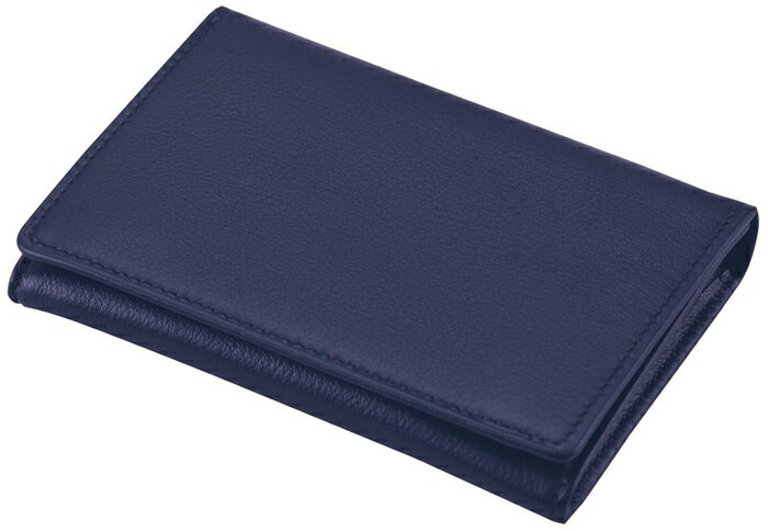 【クーポン配布中&ブラックフライデー対象】(まとめ）レイメイ藤井 ラセ パスケース ネイビー NP2603K 【×3セット】