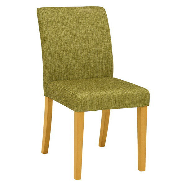 【クーポン配布中&マラソン対象】ダイニング3点セット ダイニング3点セット(グリーン) [3]