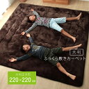 【クーポン配布中】ラグ こたつ敷き布団 正方形 幅広ラグ ブラウン 約220×220cm【ブラウン】 【代引不可】