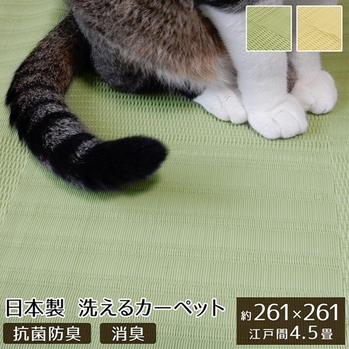 【ポイント20倍】ラグ 洗える カーペット 日本製 国産 抗菌 防臭 消臭 アウトドア レジャー 敷物 和室 シンプル グリーン 江戸間4.5畳(約261×261cm)【グリーン】【代引不可】