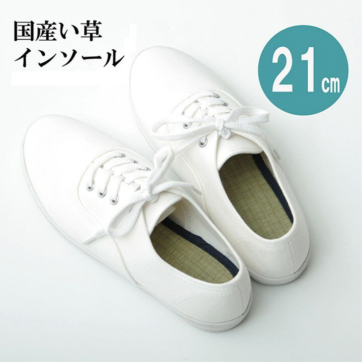 【ポイント20倍】インソール　ジュニア　消臭　抗菌 『い草インソール』 ネイビー 約21cm【ネイビー】【代引不可】