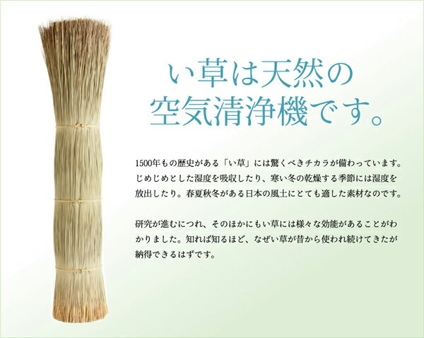 鬼怒川AQA(アクア)ラッシュロングジップジュニアIIKW4462ブルー110