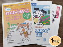 【おうちで勉強】家庭学習教材いちぶんのいち 幼児版年長レベル3+わくわくえいご-21年分発送
