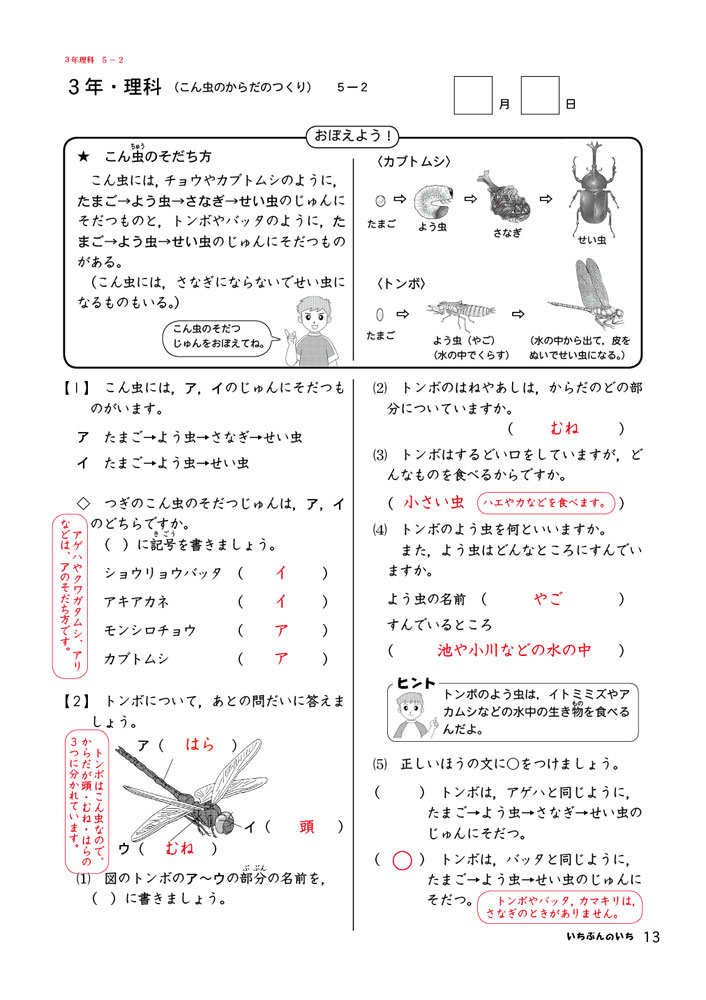 定番スタイル １日１枚分家庭用プリント学習 いちぶんのいち 家庭学習教材いちぶんのいち別冊小学理科３年生 まとめて１年分 Mundosuperman Com