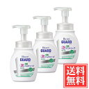 花王 ビオレガード 薬用泡ハンドソープ ユーカリハーブの香り ポンプ 本体 250ml x 3個 セット 送料無料