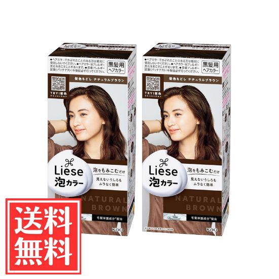 花王 リーゼ 泡カラー 髪色もどし ナチュラルブラウン 108ml x 2個 セット 送料無料