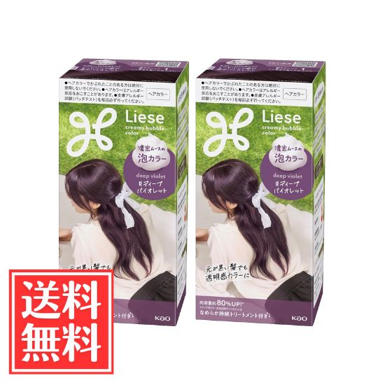 花王 リーゼ 泡カラー 黒髪用 ディープバイオレット 115ml x 2個 セット 送料無料