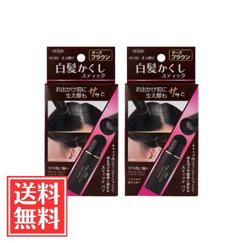 TO-PLAN トプラン 白髪かくし スティック ダークブラウン 4g x 2個 セット 送料無料