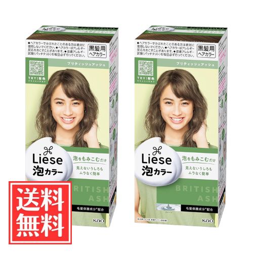 花王 リーゼ 泡カラー ブリティッシュアッシュ 108ml x 2個 セット 送料無料