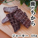 【獣医師監修／須崎動物病院オリジナル商品】鹿のちから（ジャーキー）40g｜ 無添加 安心 安全 手作りドッグフード キャットフード ペットフード 獣医師監修 須崎恭彦 須崎動物病院 人気 おすすめ 犬 猫 健康 ペット 愛犬 愛猫 鹿 鹿肉 ジビエ おやつ