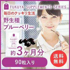 ブルーベリー、ビルベリー、ルテイン、サプリメント