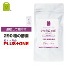 【期間限定】【増量】 290種の酵素 サプリメント (約4ヶ...