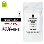 【期間限定】【増量】 フコイダン サプリメント （約4ヶ月分） 1日1粒100mgの フコイダン サプリ ふこいだん 沖縄モズク（もずく）エキス抽出 フコイダンサプリ フコイダンエキス ギフト 福袋 楽天 母の日