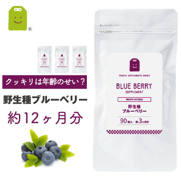 お徳用バーゲン  ブルーベリー ビルベリー ルテイン サプリメント （約12ヶ月分・90粒×4袋）アイ（目）に レスベラトロール オプティベリー サプリ blueberry supplement ブル━ベリ━ ギフト 福袋 楽天お買い物マラソン 母の日