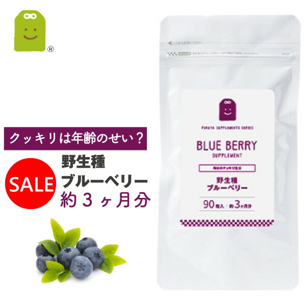 10%OFF ワイルドブルーベリー ビルベ