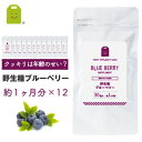 ブルーベリー ビルベリー ルテイン サプリメント (約12ヶ月分・30粒×12)【送料無料】 アイ(目)に レスベラトロール オプティベリー blueberry...