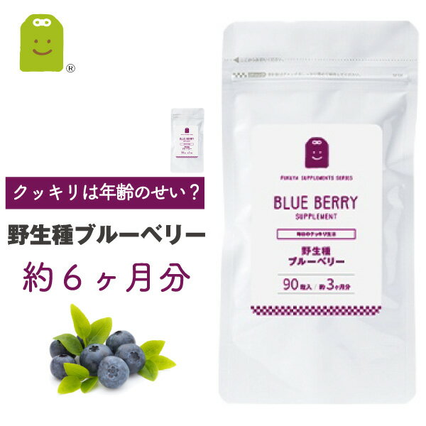 u[x[ rx[ eC Tvg  6E90~2     AC   Xxg[ IveBx[ blueberry supplement u-x-  RCP  yV Tv