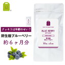 ブルーベリー ビルベリー ルテイン サプリメント （約6ヶ月分・90粒×2）【メール便送料無料】 アイ（目）に レスベラ…