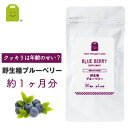 ブルーベリー サプリメント 【送料無料】 ビルベリー ルテイン アイ（目）に レスベラトロール オプティベリー blueberry supplement ブル━ベリ━ アントシアニン 【RCP】 【コンビニ受取対応商品】楽天 お守りサプリ