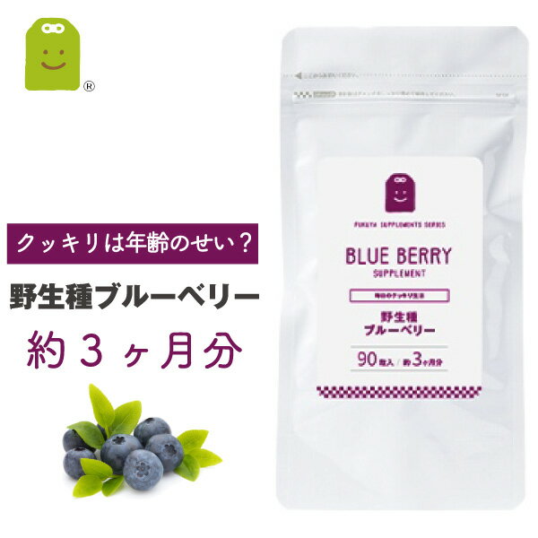 楽天サプリメント健康茶専門店ふくやお徳用バーゲン 【メール便送料無料】 ブルーベリー ビルベリー ルテイン サプリメント （約3ヶ月分・90粒）アイ（目）に レスベラトロール オプティベリー blueberry supplement ブル━ベリ━ ギフト 福袋 楽天お買い物マラソン 母の日