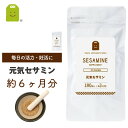 黒ゴマ セサミン 胡麻 約6ヶ月分 メール便送料無料 ごま 約5000粒分 2粒にセサミン20mg配合 20mg 元気セサミン お守りサプリ ギフト 母の日 楽...