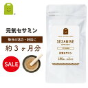 \ 20%OFF / 黒ゴマ セサミン 胡麻 約3ヶ月分 ごま 約5000粒分 20mg 元気セサミン いつまでも若々しく お守りサプリ ギフト 楽天