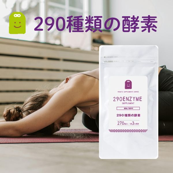 å 290ι ץ 3 L˥ ҥϥĥ  쥦ե륹  290ι۹ ᡼̵ ǳ...