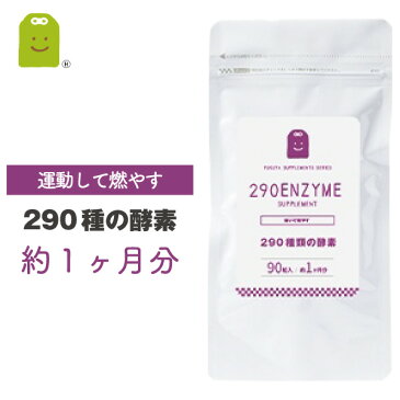 酵素 サプリメント 290種の酵素配合の健康維持（90粒・約30日分）【メール便送料無料】 酵素サプリ 野草酵素・酵素ダイエット 健康維持 酵素配合 プチ断食 酵素ドリンクが苦手な方 diet サプリ 【RCP】 楽天 お守りサプリ