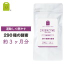 お徳用バーゲン 酵素 サプリメント Lカルニチン ヒハツエキス ウコン コレウスフォルスコリ αリポ 290種の酵素配合の健康維持 約90日分 メール便送料無料 燃焼系 酵素 サプリ ダイエット 野草酵素でプチ断食 酵素配合 プチ筋トレ diet サプリメント 楽天