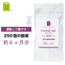 お徳用バーゲン 酵素 サプリメント Lカルニチン ヒハツエキス ウコン コレウスフォルスコリ αリポ 290種の酵素配合 約6ヶ月分 メール便送料無料 燃焼系 ...