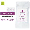 お徳用バーゲン 酵素 サプリメント Lカルニチン ヒハツエキス ウコン コレウスフォルスコリ αリポ 290種の酵素配合 約1年分 メール便送料無料 燃焼系 酵...