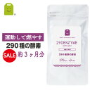 ＼10％OFF／ 酵素 サプリメント Lカル