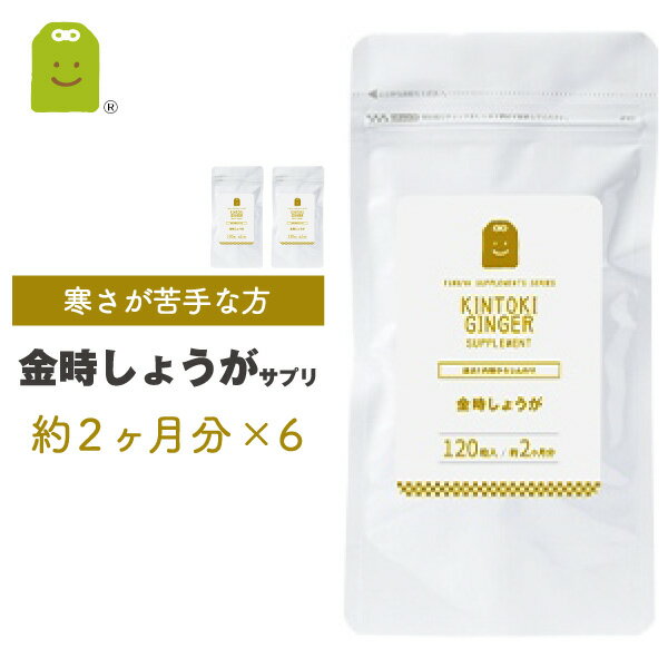 金時 しょうが サプリメント 乾燥金時 約1年分 120粒×6袋 1粒に100mgの金時生姜配合 サプリ 粉末より手軽に ダイエット 温活 体温低下 冷え対策 黒こしょう抽出物　ヒハツ抽出物配合 ジンゲロール diet 生姜サプリメント ショウガ 粉末 ギフト 福袋 楽天お買い物マラソン