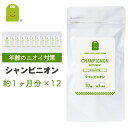 シャンピニオン サプリ シャンピニオンエキス 1粒100mg 30粒×12袋 約1年分 サプリメント シャンピニオンエチケット 健康 キノコ加工食品 健康維持 吐息エチケット 加齢 ギフト 福袋 楽天