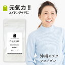 フコイダン サプリメント 1日1粒100mg 約1ヶ月分 水溶性食物繊維 ヌメヌメ成分 ふこいだん 原液 フコイダンサプリ 沖縄モズク(もずく)エキス抽出フコイ...