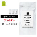 フコイダン サプリメント 約3ヶ月分(30粒×3袋)【メール便送料無料】 1日1粒100mgの フコイダン サプリ ふこいだん 沖縄モズク(もずく)抽出フコイダ...