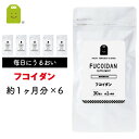 フコイダン サプリメント 約6ヶ月分（30粒×6袋） 【メール便送料無料】 1日1粒100mgの フコイダン サプリ ふこいだん…