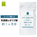 乳酸菌 フラクトオリゴ糖 サプリメント 約1ヶ月分 90粒 1日3粒で30mgの乳酸菌 1億8000万個 ダイエット サプリ 善玉菌 痩せ菌 ダイエット 腸内フローラ ヨーグルトより手軽 プロバイオティクス (乳酸菌&オリゴ糖） メール便送料無料 楽天 母の日