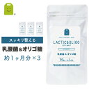 乳酸菌 フラクトオリゴ糖 サプリメント 約3ヶ月分 90粒×3袋 1日3粒で30mgの乳酸菌 1億8000万個 ダイエット サプリ 善玉菌 痩せ菌 ダイエット 腸内フローラ ヨーグルトより手軽 (乳酸菌&オリゴ糖） メール便送料無料 ギフト 福袋 楽天 母の日