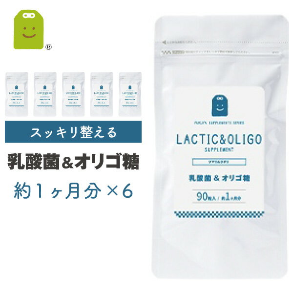 乳酸菌 フラクトオリゴ糖 サプリメント 約6ヶ月分 90粒×6袋 1日3粒で30mgの乳酸菌 1億8000万個 ダイエット サプリ 善玉菌 痩せ菌 ダイエット 腸内フローラ ヨーグルトより手軽 (乳酸菌&オリゴ糖） メール便送料無料 ギフト 福袋 楽天 父の日