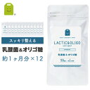 乳酸菌 フラクトオリゴ糖 サプリメント 約12ヶ月分 90粒×12袋 1日3粒で30mgの乳酸菌 1億8000万個 ダイエット サプリ 善玉菌 痩せ菌 ダイエット 腸内フローラ ヨーグルトより手軽 プロバイオティクス (乳酸菌&オリゴ糖） 送料無料 ギフト 福袋 楽天 母の日